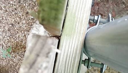 Guy Next Door Long Piss Outdoors