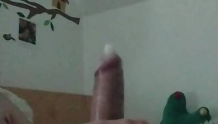 Canevas