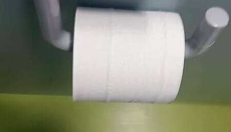 Womens toilet restroom Hotel cumshot on toilet roll