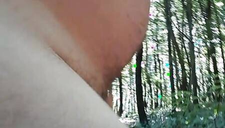 Walk in the forest with an emty dick