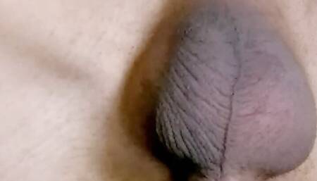 Upsidedown flaccid to erect closeup with some precum