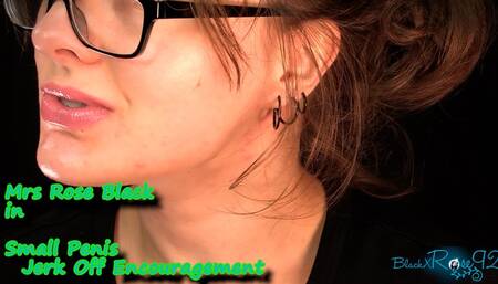 Small Penis Jerk Off Encouragement