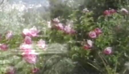 Blonde slut on a lounge chair sucks a cock and fucks