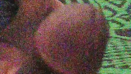 May new mms video  new sex so hot video new new 18 + video new amazing person who can so nice video new jo I'm new new book so h
