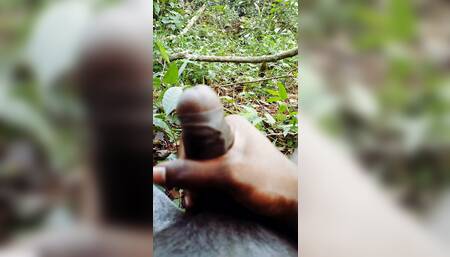 Handjob Kerala India boy mustrabution in the forest