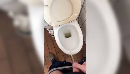 Pee on Toilet