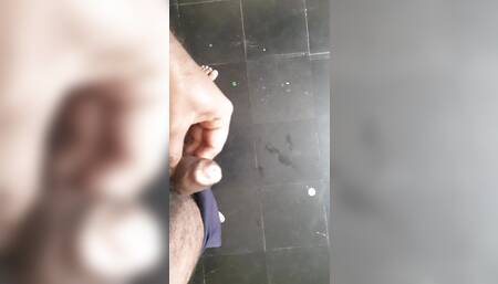 INDIAN COCK