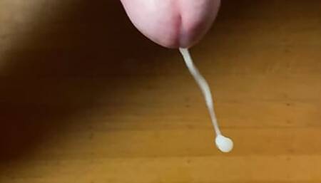 Hardwood Cum