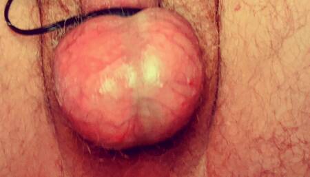 Balls to the Wall