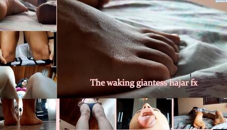 unaware giantess hajar fx