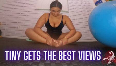 Tiny Gets the Best Views (wmv)