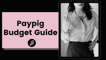 Paypig Budget Plan