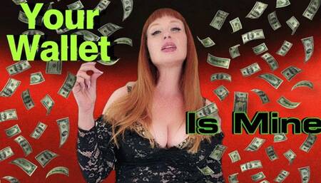 Your Wallet Is Mine WMV