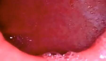 Empty Stomach Full Stomach - Digestion of meat in fullscreen 4K