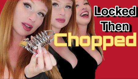 Locked Then Chopped SD WMV