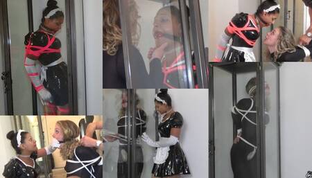 Calisa and Diamondly: On Display