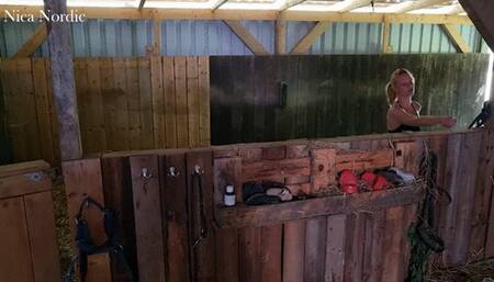 Pony dressage in the stable and on the meadow