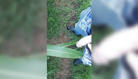 Walking outdoor, getting horny and jerk off on a corn leaf