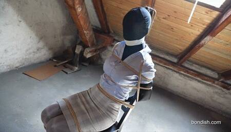 ZENTAI SECRETRARY: SILENCED WITNESS