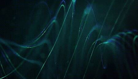 Underdesk Feet *mp4*