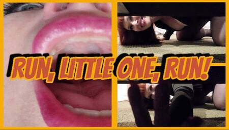 Run, Little One, Run! SD WMV