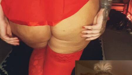 BBW Huge Ass In Stockings Worship JOI