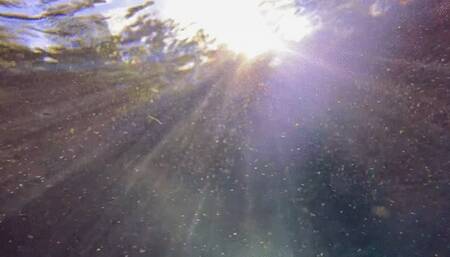 Carissa scuba diving in the public spring on a busy Saturday