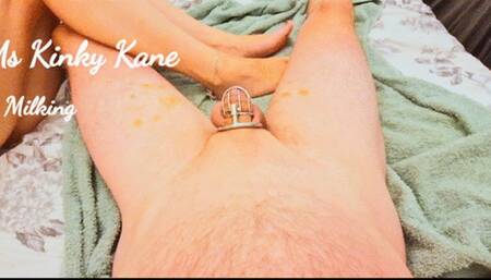 Chastity Tease & Milking