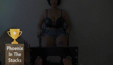 Phoenix In The Stocks (Small)