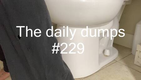 The daily dumps #229 mp4