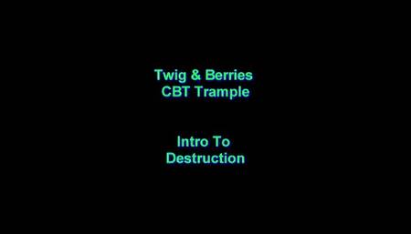 Intro To Destruction