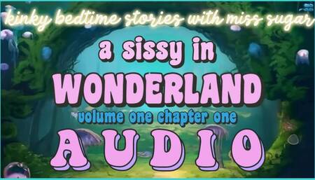 A Sissy in Wonderland, Chapter One