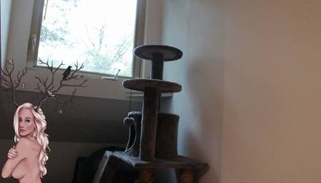 Impregnation Fantasy - Begging For Cum