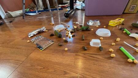 She caught me setting her feet up again