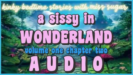 A Sissy in Wonderland, Chapter Two