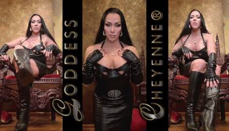 So Much Leather wmv