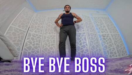 Bye Bye Boss (wmv)