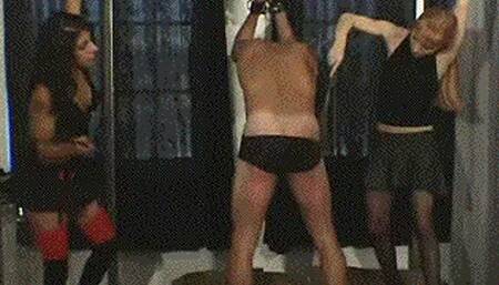 Sorority Bitches From Hell (WMV)