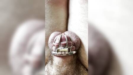 Ruined orgasm in tiny chastity for small cock loser