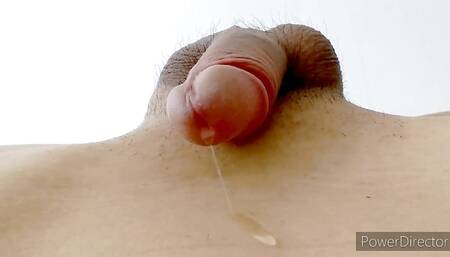 Precum dripping bridge position hands-free closeup