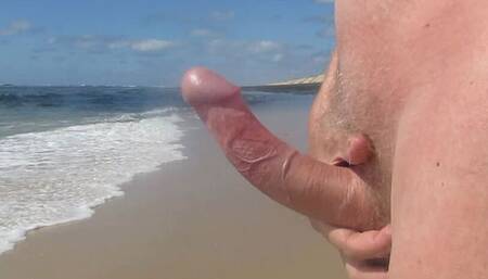 Beach Nudist Wank Day