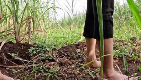 Pinay kinantot sa tubohan - pinay outdoor sex