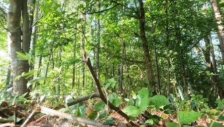 Tiny Human Casey in the Land of Giants POV1080 smaller