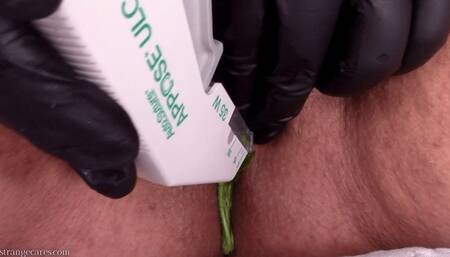 stapled shut and stuffed full of nettles (1080 wmv)