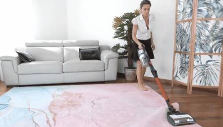 Cleaning time for Eleonore