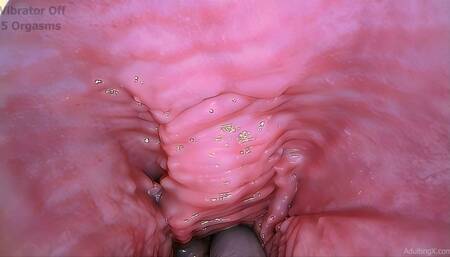 Pulsing Gspot 6 Orgasms