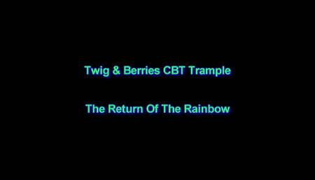 The Return Of The Rainbow