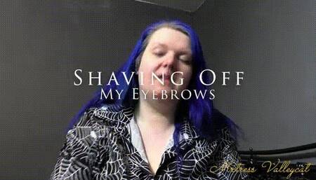 Shaving Off My Eyebrows (wmv)