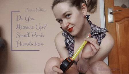 Do You Measure Up? - SPH Tape Measure Humiliation - SD MP4