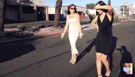 67 Mustang Shelby Score - OMG I love this car